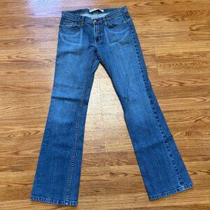 Express Precision Fit Denim Meristem Low Rise Jeans